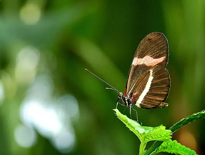 Nemo enim ipsam voluptatem